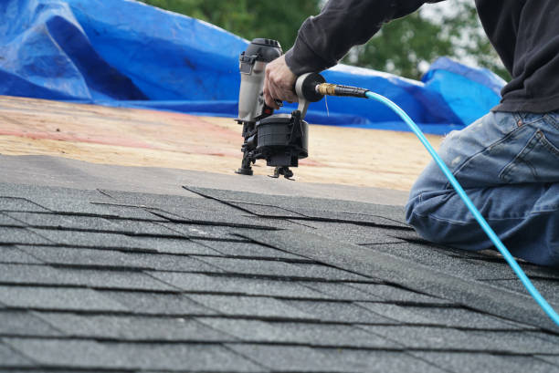 Best Roof Replacement Cost  in Crainvle, IL